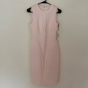 SOLD ON ANOTHER PLATFORM Calvin Klein Blush Pink Dress